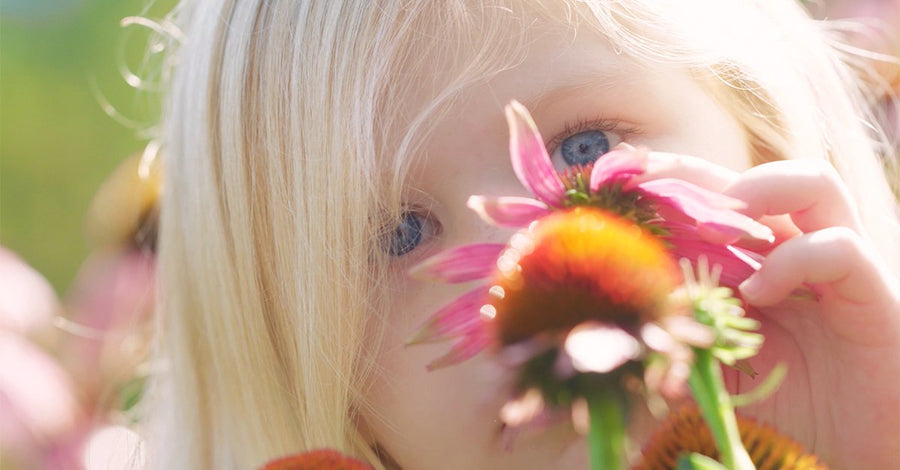 Young girl touching echinacea