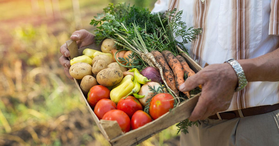 Man holding basket of farm fresh vegetables