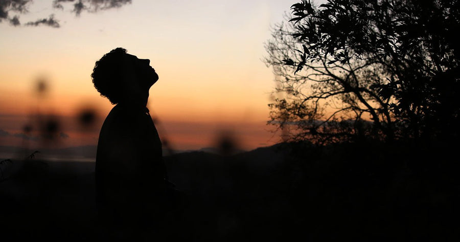 Silhouette of man looking towards sky at sunset