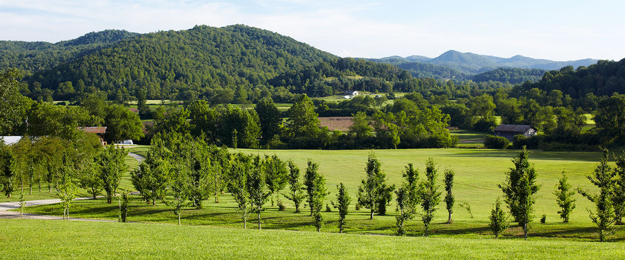 Wide shot of Gaia Herbs farm