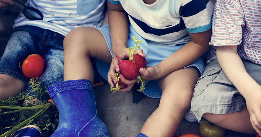 Children holding fresh fruit