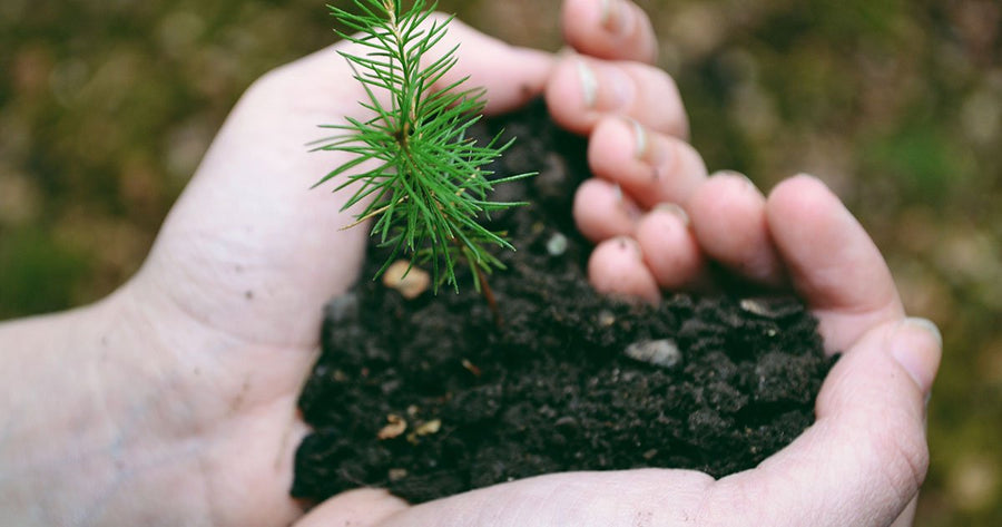 Person holding soil in hands forming heart shape