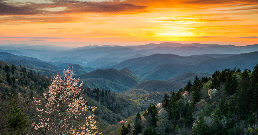 Sunrise over Blue Ridge Mountains in Southern Appalachia