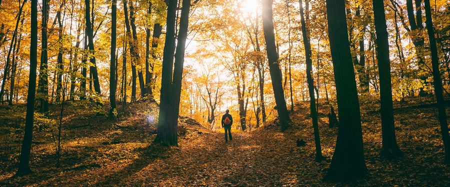 Man standing in sunlight in the woods