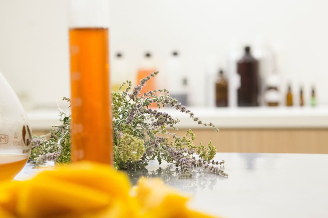 Let's Go All Herbal! What Are The Benefits Of Using Herbal Skincare  Products? – Anherb Natural