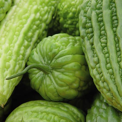 Bitter Melon fruit close up