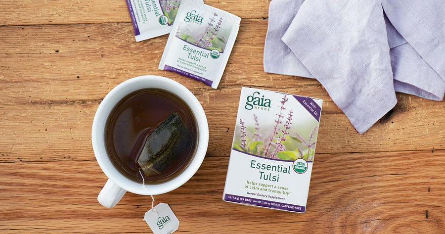 Tea cup with Gaia Herbs Essential Tulsi tea