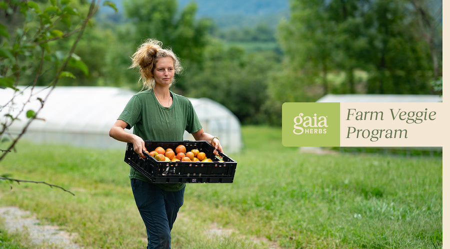 employee vegetable program