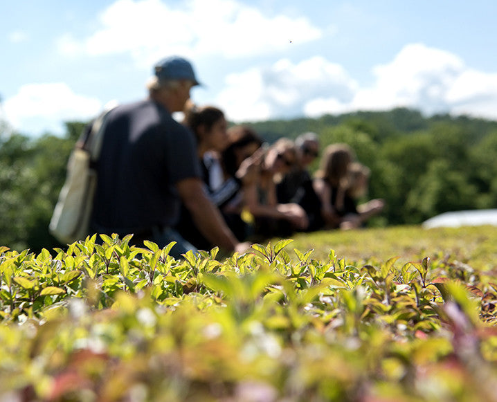 Our Day On Gaia Herbs’ 350-Acre Farm in North Carolina