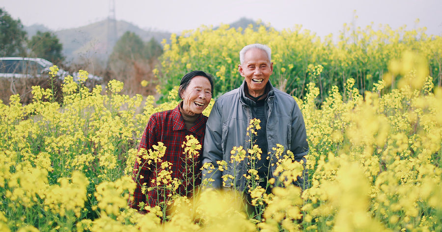 Older couple walking through a field of flowers