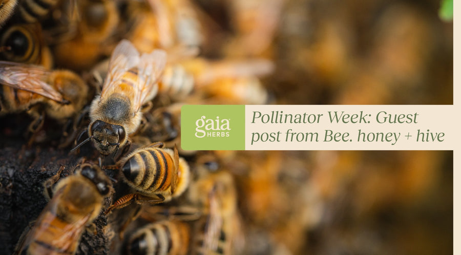 Pollinator Week