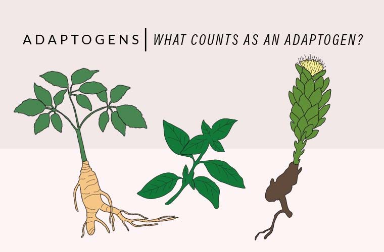 Everything You Need to Know About Adaptogens, Explained