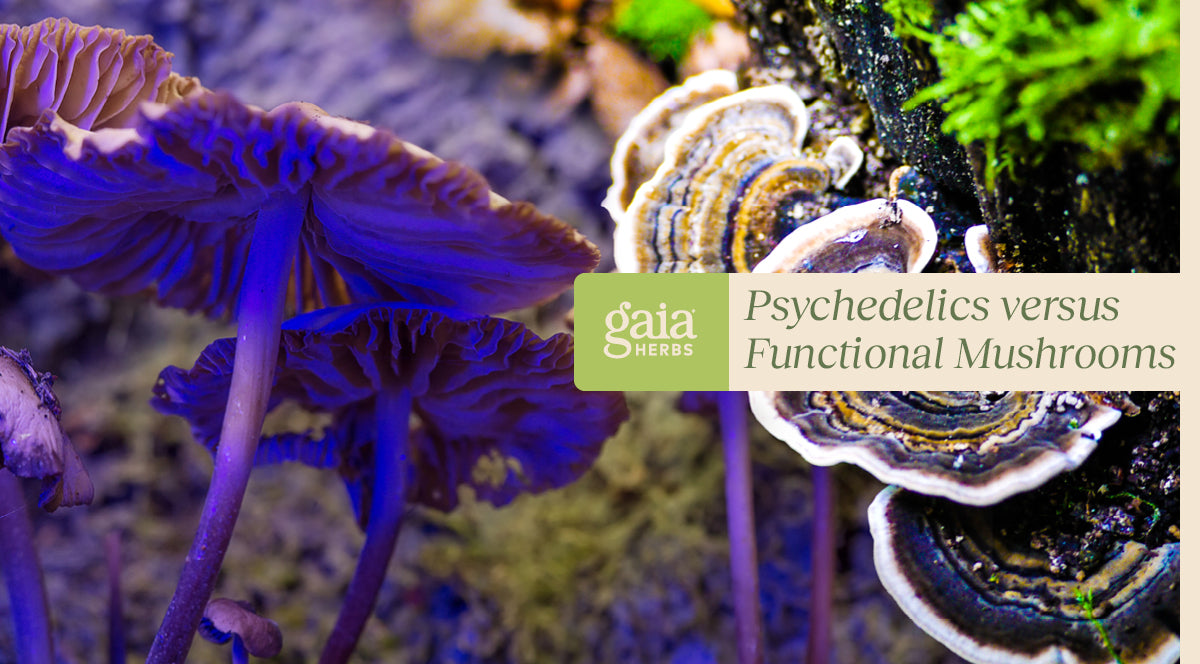 What is The Difference: Psychedelic vs. Functional Mushrooms: Gaia Herbs®