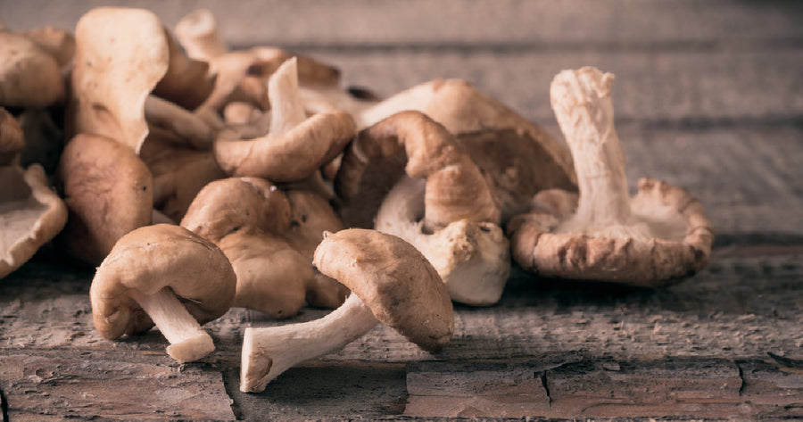 Shiitake mushrooms