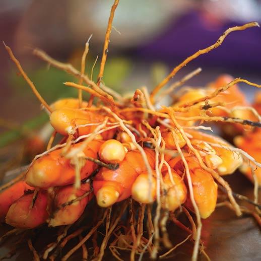 Turmeric close up