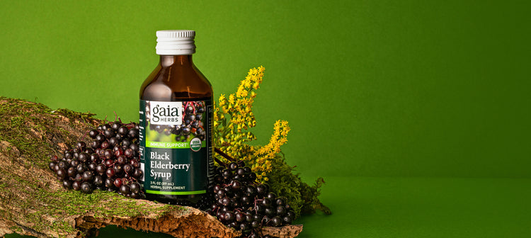 2023 Healthy Living Gift Guide for Men: Gaia Herbs®